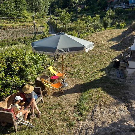 Quinta Da Peca Douro Vinhateiro Вила-Реал Экстерьер фото