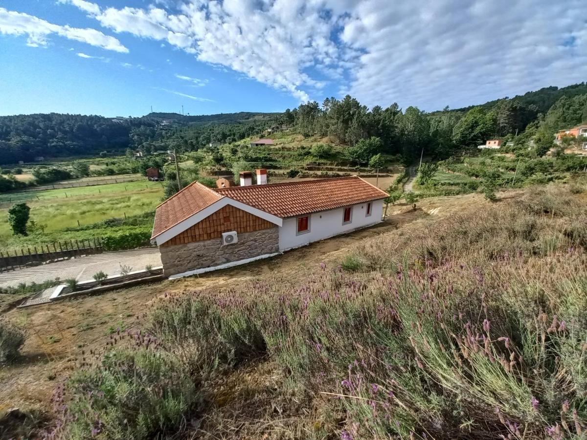 Quinta Da Peca Douro Vinhateiro Вила-Реал Экстерьер фото