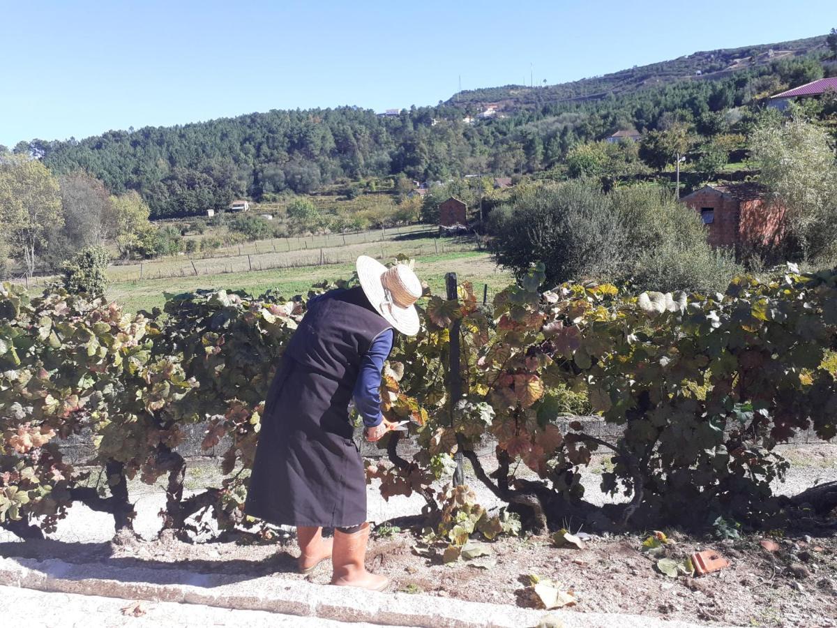 Quinta Da Peca Douro Vinhateiro Вила-Реал Экстерьер фото