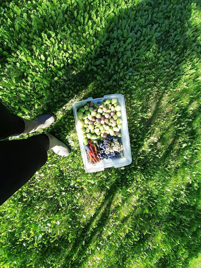 Quinta Da Peca Douro Vinhateiro Вила-Реал Экстерьер фото
