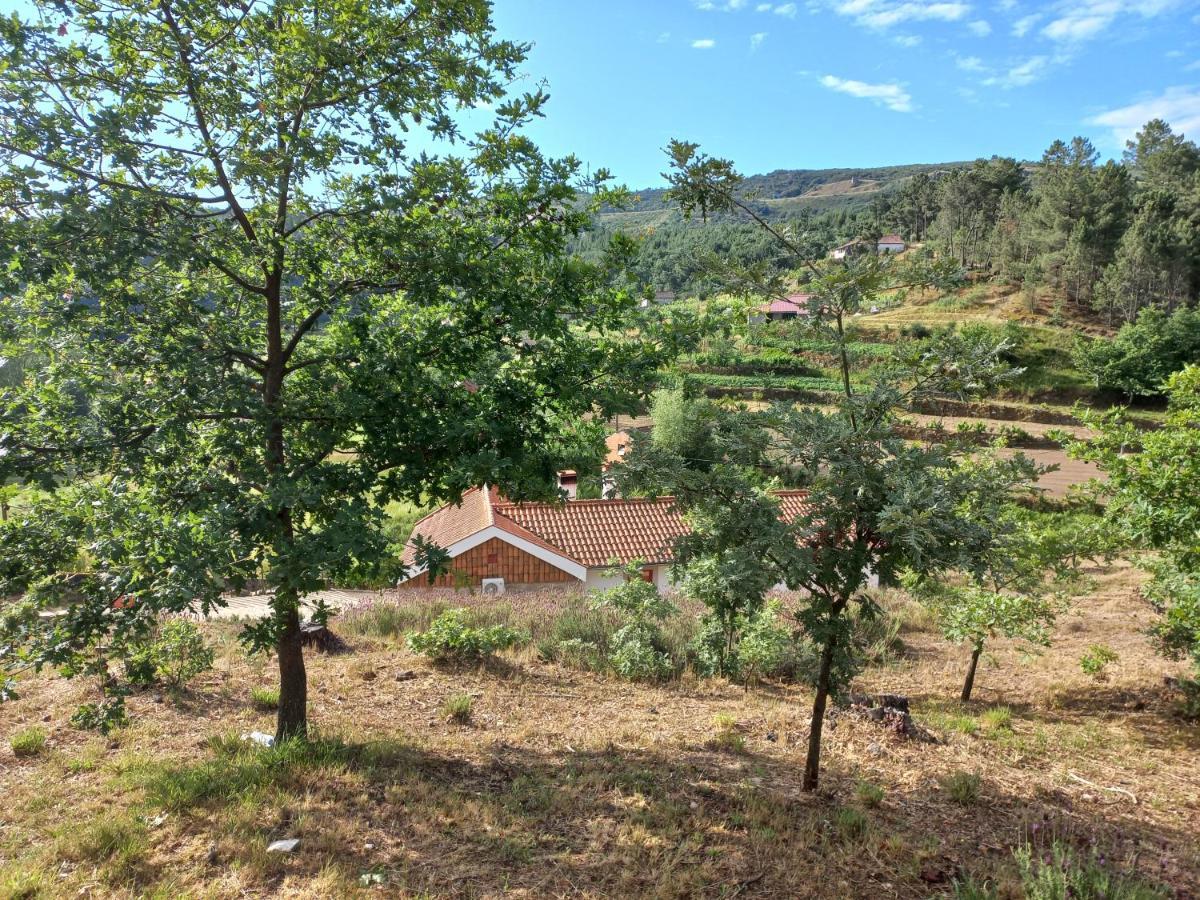 Quinta Da Peca Douro Vinhateiro Вила-Реал Экстерьер фото